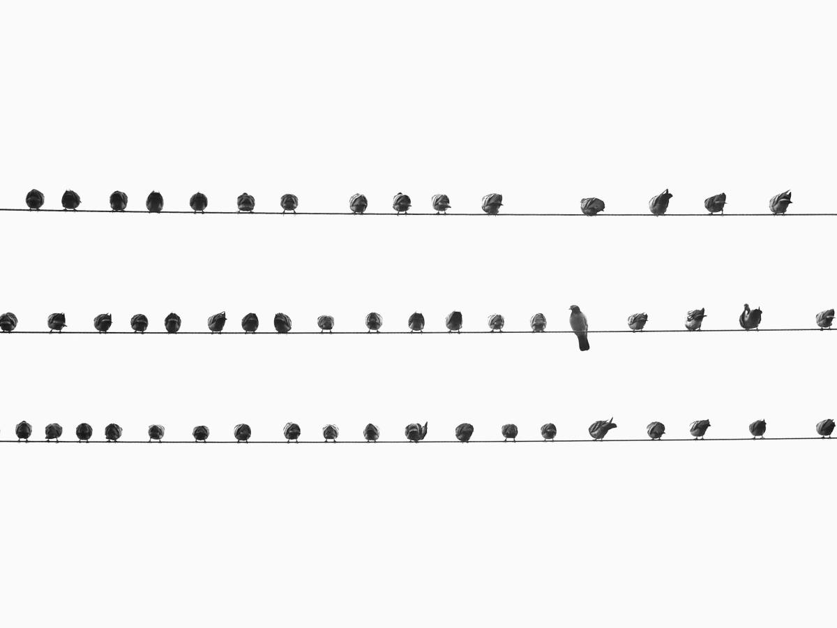 How to overcome missalignment between marketing and sales&nbsp;teams